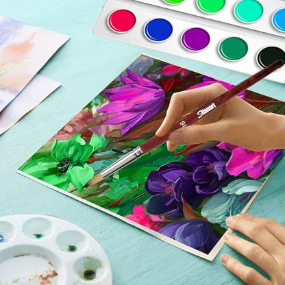 Sdanart Watercolor Brushes Professional，10 PCS Artist Paint Brush Shapes | Shape Including Pointed Rounds, Flats，Filbert，Cat's Tongue Oval Wash，Dagger，Suitable for Acrylics Water Color Oil Gouache Ink