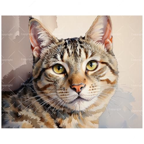 Pet Art Paint by Numbers Kit for Adults - DIY Watercolor Tabby Cat with Yellow Eyes Painting on Canvas 12x16In, Framed Acrylic Paint Set, Suitable for Beginners, Art for Home Decoration/Gifts - color: FM04842, size: 12×16in Framed