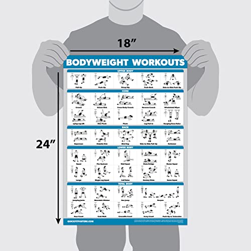 Palace Learning Bodyweight Workout Exercise Poster - Body Weight Workout Chart - Calisthenics Routine - (Laminated, 18" x 24") - color: LAMINATED