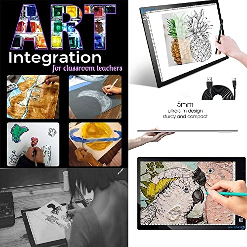 Light Box Drawing Pad, Tracing Board with Type-C Charge Cable and Brightness Adjustable for Artists, AnimationDrawing, Sketching, Animation, X-ray Viewing (DE-A4-P-black)