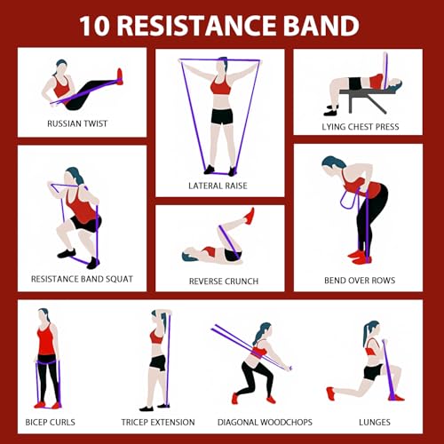 LEEKEY Resistance Bands for Pull Up Assist, Exercise & Workout Bands Set - color: 5-85LBS COLOR+Mini Bands