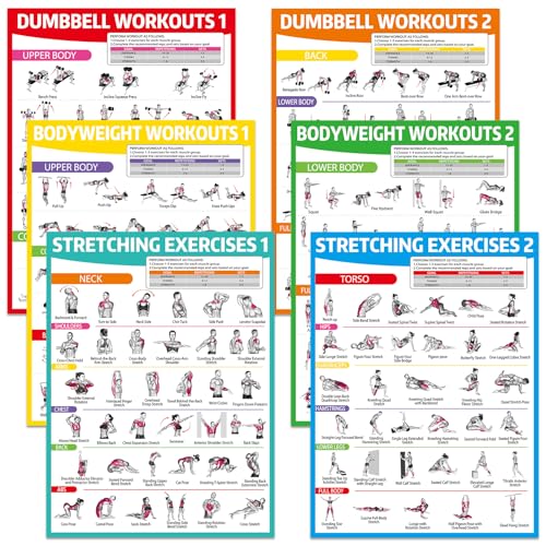 gisgfim 6PCS Workout Posters for Home Gym Dumbbell Bodyweight Stretching Workout Exercise Chart - color: Colorful