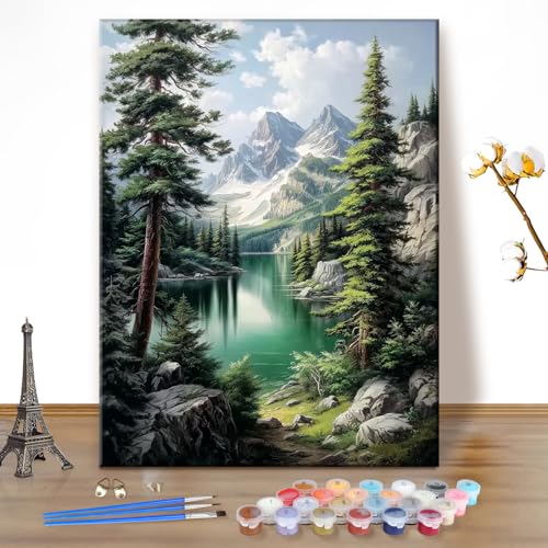 EOBROMD Paint by Numbers Kits for Adults Landscape Mountain, DIY Kits Crafts for Beginner, Painting Adults, Oil Paint by Numbers for Home Decor Gift 16x20inch(Without Frame) - color: 08-Mountain