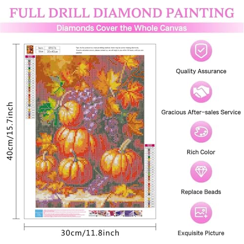 MIRCVSH Autumn Diamond Art Kits for Adults,DIY Pumpkin and Grape Diamond Painting Kits for Adult Beginners,5D Full Round Drill Rhinestone Painting Kit Art Crafts for Home Wall Decor 12X16 Inch. - color: G9676