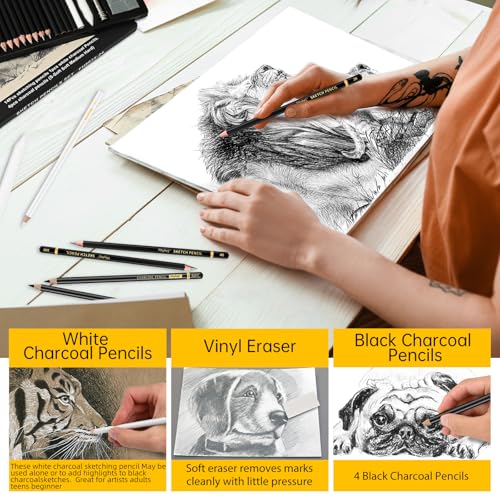 Sketch Drawing Pencil Set, 24 Pcs, Graphite Pencils (14B-4H) | Art Pencil Kit with Black and White Charcoal Pencils, Charcoal Sticks, Stumps, Eraser, Sharpeners, Sketch Set for Artists