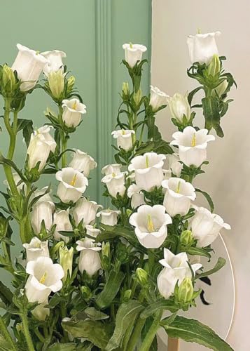 ZRIZQ Flowers Paint by Numbers Kit for Adults Beginner,Lily,16x20 | Full set with wooden brushes,rolled canvas,rich paints.Calming activity.Beginner friendly.Just open and paint. - color: 16"X20"Rolled Canvas(Frameless)-Flowers 11