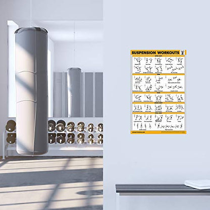 Palace Learning 3 Pack - Suspension Workout Posters - Volume 1 & 2 + Dumbbell Exercises Poster Set - Set of 3 Workout Charts