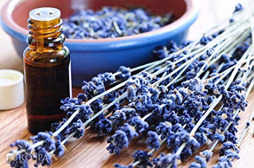 EuroSpa Aromatics Lavender Infused Pure Eucalyptus Oil Yoga Mat Cleaner & Deodorizer - Premium Aromatherapeutic & Relaxing Essential Oil Spray - 16oz, 2 Pack - size: 16 Fl Oz (Pack of 2)