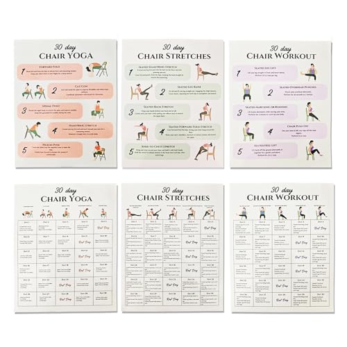 Tai Chi Chair Workout Chart, 6 Laminated Tai Chi Exercise Chart Poster Set for Beginners and Seniors, Chair Yoga Chart Illustrated Seated Moves for Balance, Mobility, 30-Day Challenge