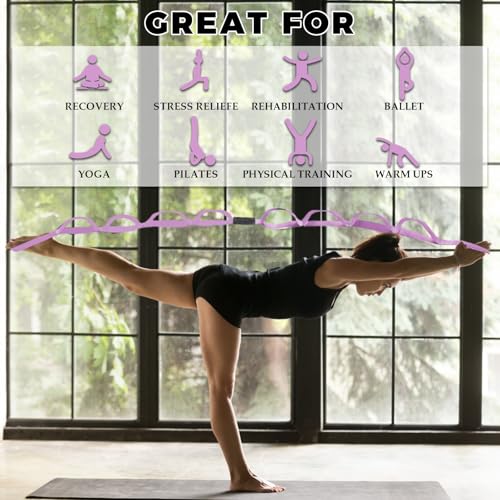 Pilates Straps for Reformer, Fitness D-Ring Double Loop Exercise with 10-Loop Sports Yoga Stretch Band, Double Loop Straps for Yoga, Pilates, Dance, Flexibility & Exercise