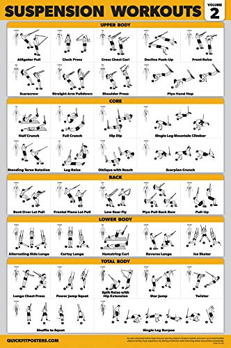 Palace Learning 3 Pack - Suspension Workout Posters - Volume 1 & 2 + Dumbbell Exercises Poster Set - Set of 3 Workout Charts