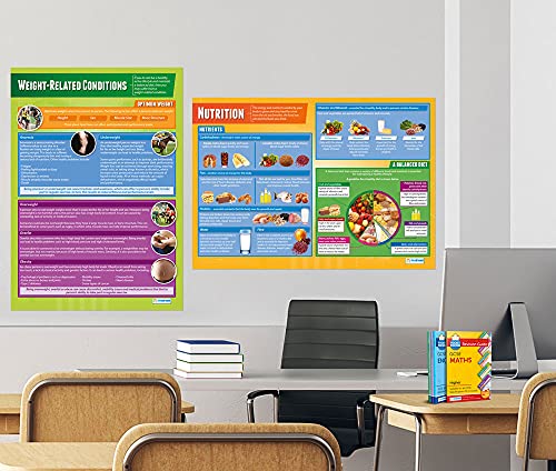 Health, Fitness & Well-Being Class Posters, Set of 5, EXTRA LARGE 33"x23.5" | Gloss Paper, PE Middle & High School Class Decoration, Wall Charts by Daydream Education