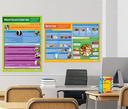 Health, Fitness & Well-Being Class Posters, Set of 5, EXTRA LARGE 33"x23.5" | Gloss Paper, PE Middle & High School Class Decoration, Wall Charts by Daydream Education