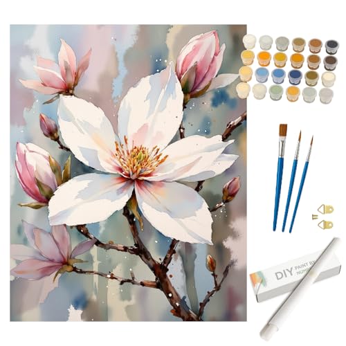 Floral Art Paint by Numbers Kit for Adults - DIY White Magnolia Blossom Painting on Rolled Canvas 16x20 Inches, Acrylic Paint Set, Suitable for Beginners, Art for Home Decoration or Gifts - color: HSX00101, size: 16X20IN Rolled
