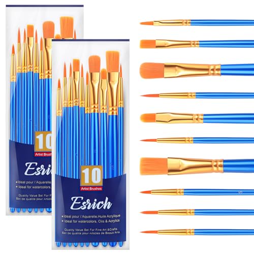 ESRICH 20PCS Paint Brushes, Paint Brush for Acrylic Painting | Artist Paintbrushes for Oil Watercolor, Body Face Rock Canvas, Small Paint Brushes for Kids, Blue - color: Blue, size: 20