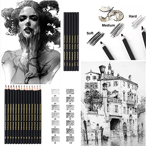 Heshengping 31 Drawing Sketching Pencils Kit, Portable Artist Supples Travel Case Set has Graphite, Charcoal, white color pencil, Blending Stump, gift for Adults Beginners for Drawing Sketch