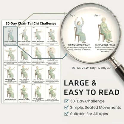 Tai Chi Chair Workout Chart for Seniors, Seated Tai Chi Exercise Poster with 30-Day Routine, Balance & Mobility Home Fitness Guide, 12x16 Inch Canvas Wall Art, 2 Pack (woman) - color: woman