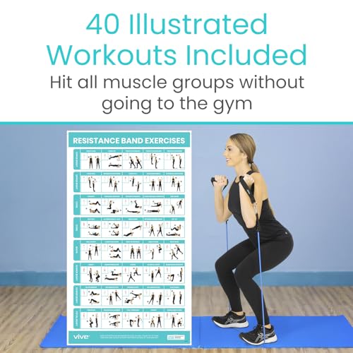Vive Resistance Band Workout Poster (40 Illustrations) Laminated Bodyweight Hitt Exercise Chart for Abs, Glute, Back, Legs - Stretch Routine for Home Gym, Garage, for Men, Women - Cable Trainings | Hitt Exercise Chart for Abs, Glute, Back, Legs - Stretch