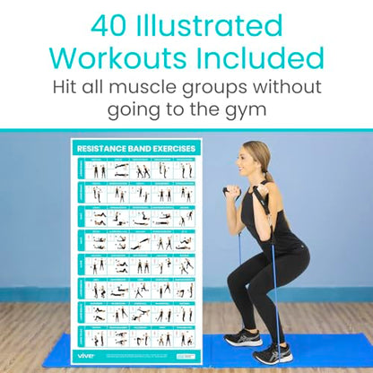Vive Resistance Band Workout Poster (40 Illustrations) Laminated Bodyweight Hitt Exercise Chart for Abs, Glute, Back, Legs - Stretch Routine for Home Gym, Garage, for Men, Women - Cable Trainings | Hitt Exercise Chart for Abs, Glute, Back, Legs - Stretch