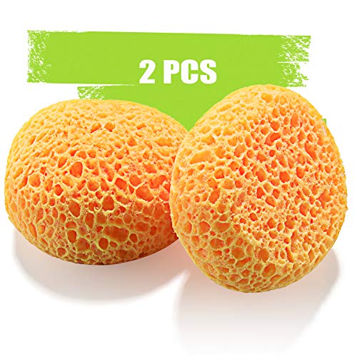 LAVEVE Knockdown Texture Sponge for Wall and Drywall Patch/Repair, 2 Pcs | Home Decor DIY Painting for Ceiling and Wall Texture