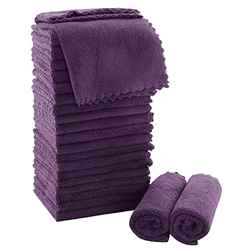 MOONQUEEN Ultra Soft Premium Washcloths Set - 12 x 12 inches - 24 Pack - Quick Drying - Highly Absorbent Coral Velvet Bathroom Wash Clothes - Use as Bath, Spa, Facial, Fingertip Towel (Plum) - color: Plum, size: 12 x 12 Inch(Pack of 24)