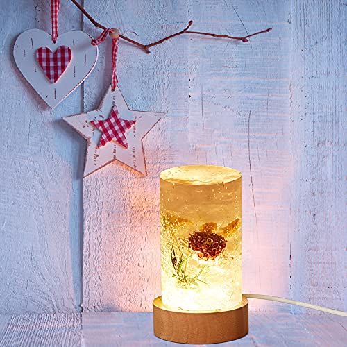 2 Pieces DIY Resin Lamp Mold Kit for Flower Preservation, Large Cylinder Resin Casting Mold with 2 USB Wooden LED Light Bases, Preserved Flower Display Lamp Making Kit, Handmade Gift Home Decoration