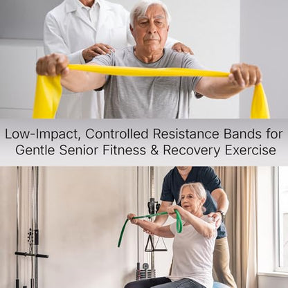 Exercise Bands，Set of 6 Resistance Bands for Working Out,Pull Up Bands Set,at Home Workout Equipment,Instruction Guide and Carry Bag Included - color: 5set（Blue+green+purple+yellow+red+4pcs Loop Bands）
