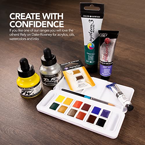 Daler-Rowney FW Acrylic Ink Bottle Black - Versatile Acrylic Drawing Ink for Artists and Students - Permanent Calligraphy Ink - Archival Ink for Illustrating and More (Pack of 2) - size: 6.1 fl oz (Pack of 2)