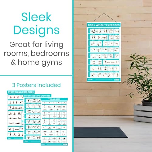 Vive 3 Pack Workout Posters for Home Gym - Yoga Poses, Stretching Exercises
