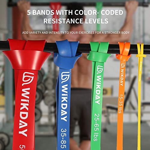 WIKDAY Resistance Bands for Working Out with Door Anchor | Pull Up Assistance, Exercise Elastic Bands, Thick Heavy Resistance, Body Stretching Muscle Training, Home Gym - color: Colorful 02