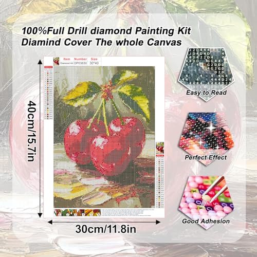AIBOERL Diamond Art Kits for Adults,Cherry Diamond Painting Wall Decor | Round Drill Vintage Cherry Diamond Painting for Beginners DIY Rhinestone 5D Diamond dots(Gemstone Craft)Wall Art Gift 12x16IN - color: DP03830