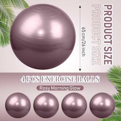 Leyndo 4 Pcs 26 Inch Yoga Exercise Ball Pilates - color: Rose Color