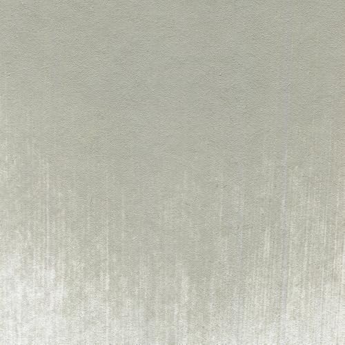 PanPastel Artist Pastels by GOLDEN, Neutral Gray Light, 2.44” / 62mm Pan Diameter, Professional Artist Pastels, Unique Pan Format (cake-like) - color: Neutral Gray Light
