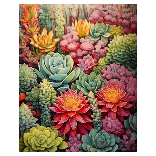 xcemhil Succulents Paint by Numbers Kit for Adults Beginner, Succulents Paint by Number for Adult, Acrylic Paint by Numbers Kits Suitable for Home Wall Art Decor Gifts 16x20 Inch - color: 33-Succulents, size: 16*20