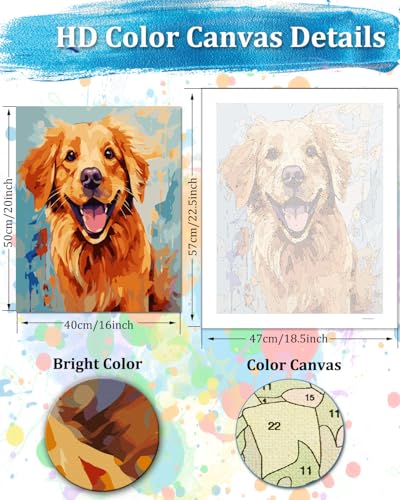 TOCARE Golden Retriever Paint by Numbers Kit for Adults, Dog Paint by Number Canvas for Adults Beginner Puppy Animal 16x20inch - color: Dog
