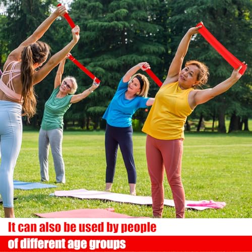 Deekin Resistance Bands Resistance Loop Exercise Bands Exercise Equipment Elastic Ring for Women and Men Home Fitness, Gym, Yoga - color: Red, size: 30 Lbs