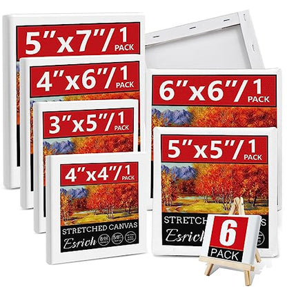 6Packs Mini Stretched Canvases for Painting with 3x5”, 4x4”, 4x6”, 5x5”, 5x7”, 6x6”, Painting Canvas for Oil & Acrylic Paint. - size: 6 Packs - 6 Sizes (1 of Each)