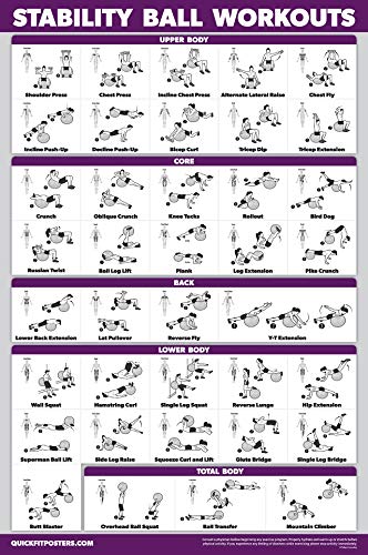 Palace Learning 2 Pack: Half Balance Ball Workout Poster + Yoga Ball Exercise Chart - Set of 2 Workout Posters