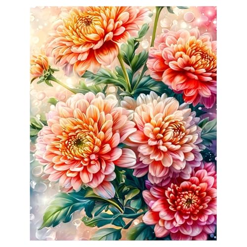 xcemhil Flowers Paint by Numbers Kit for Adults Beginner, Flowers Paint by Number for Adult, Acrylic Paint by Numbers Kits Suitable for Home Wall Art Decor Gifts 16x20 Inch - color: 30-Flowers, size: 16*20