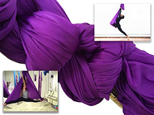 F.Life Aerial Silk Yoga Hammock & Swing for yoga Inversion,Strength training,starter hardware kit - color: purple