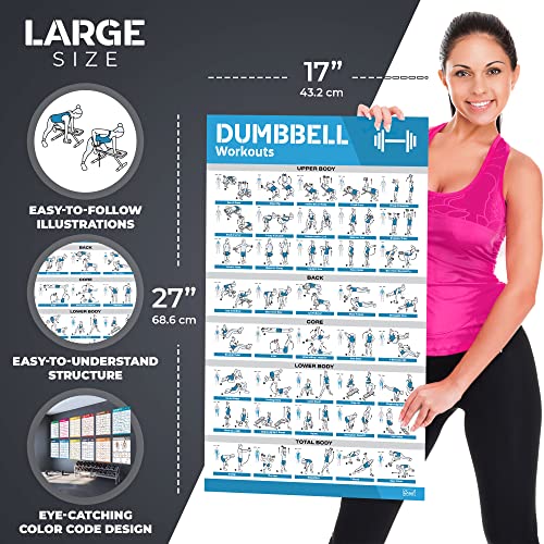 [12-PACK] Laminated Large Workout Poster Set - Perfect Workout Posters for Home Gym - Exercise Charts Incl. Dumbbell, Yoga Poses, Resistance Band, Kettlebell, Stretching & More Fitness Gym Posters - style: White