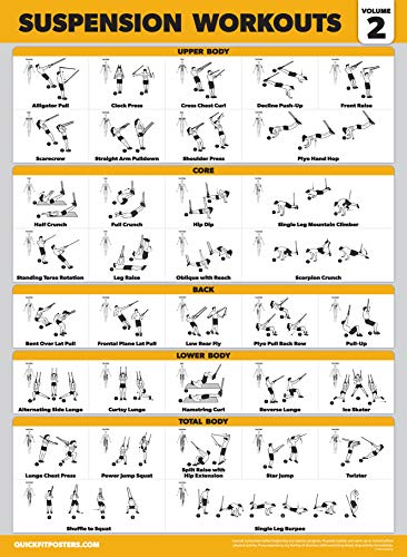 Palace Learning 3 Pack Suspension Workout Posters - Volume 1, 2 & 3 - Exercise Charts
