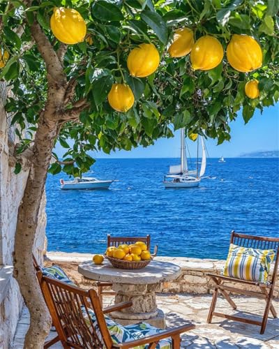 ZRIZQ Landscape Paint by Numbers Kit for Adults Beginner,Lemon Tree,16x20 | Full set with rich paints,wooden brushes,rolled canvas.Calming activity.Beginner friendly.Just open and paint. - color: 16"X20"Rolled Canvas(Frameless)-Landscape 19