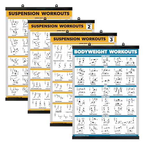 Palace Learning 4 Pack - Suspension Workout Posters Volume 1, 2 & 3 + Bodyweight Exercise Chart - Set of 4 Posters (LAMINATED WITH PLASTIC FRAME, 18" x 24") - color: WITH PLASTIC FRAME