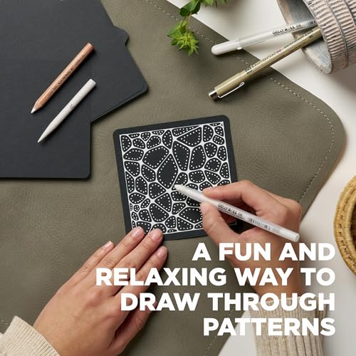 SAKURA 50008 Zentangle Apprentice Classroom Pack #2, Black | All-in-One Kit for Drawing, Relaxing, Meditative Patterns, Includes Gelly Roll and Micron Pens, White Pencil and Black Tiles - size: Apprentice Classroom Pack #2