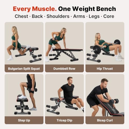 YOLEO Adjustable Weight Bench, ASTM-Certified 827LBS - size: L