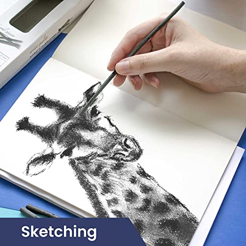 Pacific Arc 2 PACK Large Willow Charcoal Stick 4/Pkg, Soft, Black, Thick Willow Charcoal for Sketching and Drawing … - style: Willow Soft | 2 Pack | 4 Sticks