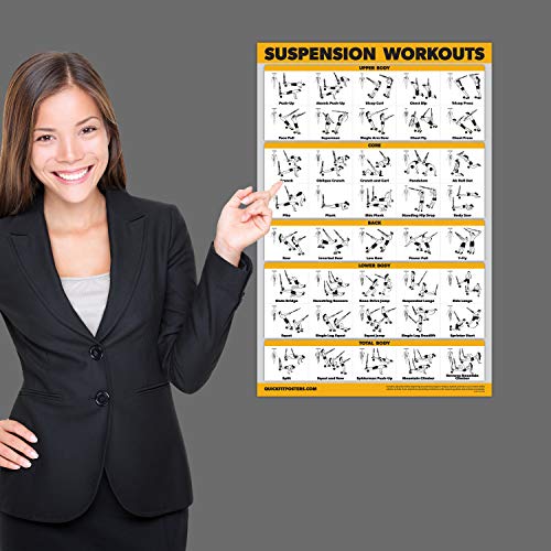 Palace Learning 3 Pack - Suspension Workout Posters - Volume 1 & 2 + Dumbbell Exercises Poster Set - Set of 3 Workout Charts
