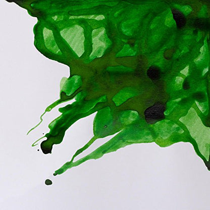 Winsor & Newton Drawing Ink, 14ml Bottle, Apple Green | Fast-drying, transparent & water-resistant; Outstanding Color Brilliance; Perfect for brush, dip pen, airbrush applications. - color: Apple Green, style: 14ml Bottle