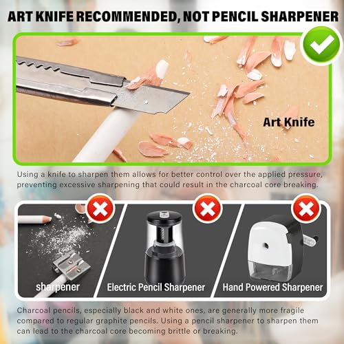 KALOUR White Charcoal Pencils Drawing Set, Professional 6 Pieces White Sketch Pencils for Drawing, Sketching, Shading, Blending, Chalk for Beginners & Artists - style: 6 White Charcoal Pencils